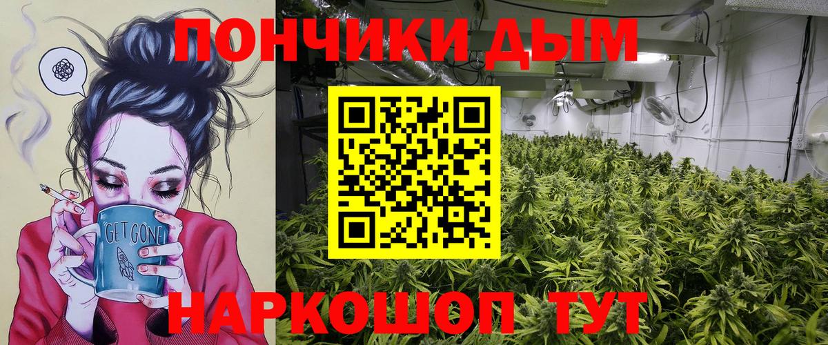 Каннабис планчик Вичуга